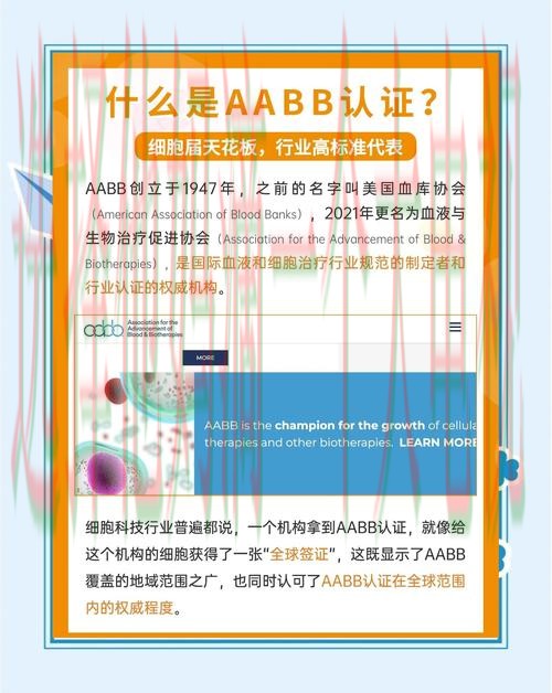 博雅体育正规版免费下载